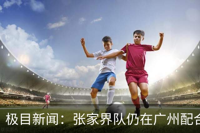 极目新闻：张家界队仍在广州配合调查，警方和多个主管部门已介入